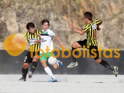 Lourosa-Arrifanense