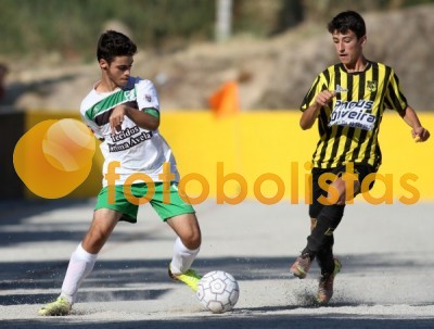 Lourosa-Arrifanense