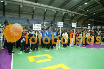 Festa Final da Festa de Basquetebol 2008