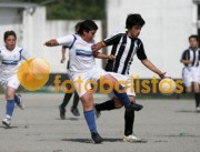 Sanguedo-Relâmpago Nogueirense