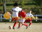 Soutelo-Casa Benfica Estarreja