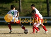 Soutelo-Casa Benfica Estarreja