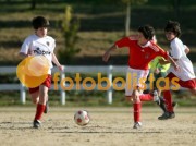 Soutelo-Casa Benfica Estarreja