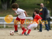 Soutelo-Casa Benfica Estarreja