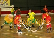 Académico da Feira-Hoquei de Viseu Benjamins