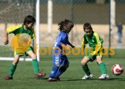 Feirense-Fiães Escolas B