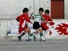 SJ Ver-Arrifanense Escolas B