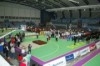 FESTA DO BASQUETEBOL EM PORTIMAO 2009
