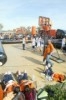 Street Basket