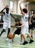 Grib-FC Porto