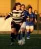 Feirense-Cesarense