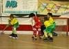 Académico da Feira-Hoquei de Viseu Benjamins