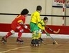 Académico da Feira-Hoquei de Viseu Benjamins