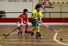 Académico da Feira-Hoquei de Viseu Benjamins
