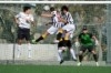 Lusitano Vildemoinhos-Penalva do Castelo