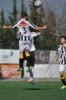 Lusitano Vildemoinhos-Penalva do Castelo
