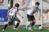 Lusitano Vildemoinhos-Penalva do Castelo
