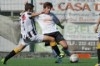 Lusitano Vildemoinhos-Penalva do Castelo