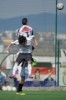 Lusitano Vildemoinhos-Penalva do Castelo