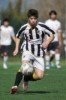 Lusitano Vildemoinhos-Penalva do Castelo