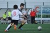 Lusitano Vildemoinhos-Penalva do Castelo