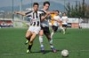 Lusitano Vildemoinhos-Penalva do Castelo