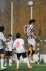 Lusitano Vildemoinhos-Penalva do Castelo