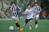 Lusitano Vildemoinhos-Penalva do Castelo