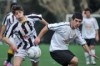 Lusitano Vildemoinhos-Penalva do Castelo
