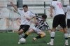 Lusitano Vildemoinhos-Penalva do Castelo