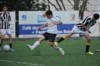 Lusitano Vildemoinhos-Penalva do Castelo