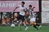 Lusitano Vildemoinhos-Penalva do Castelo