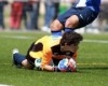 Gafanha-FC Porto