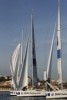 CNU Vela Grand Surprise