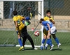 Feirense-Rio Meão Infantis A
