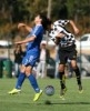 Feirense-Boavista Iniciados